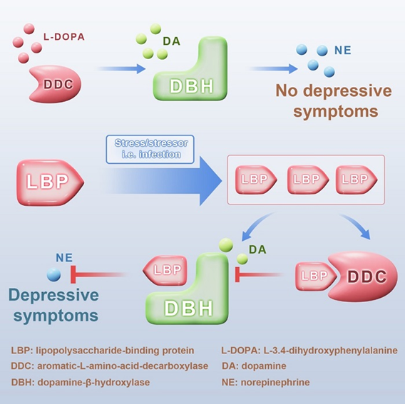 电子游戏app下载安装