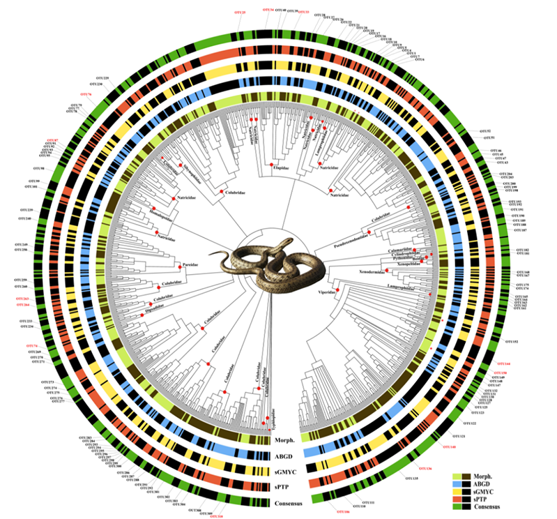 电子游戏app下载安装