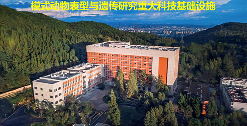 电子游戏app下载安装