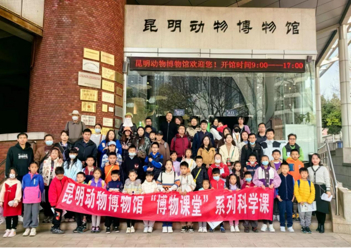 电子游戏app下载安装