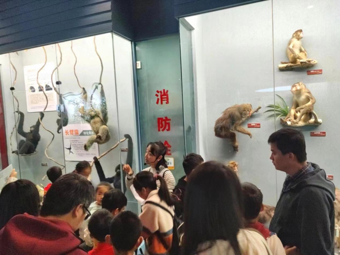 电子游戏app下载安装