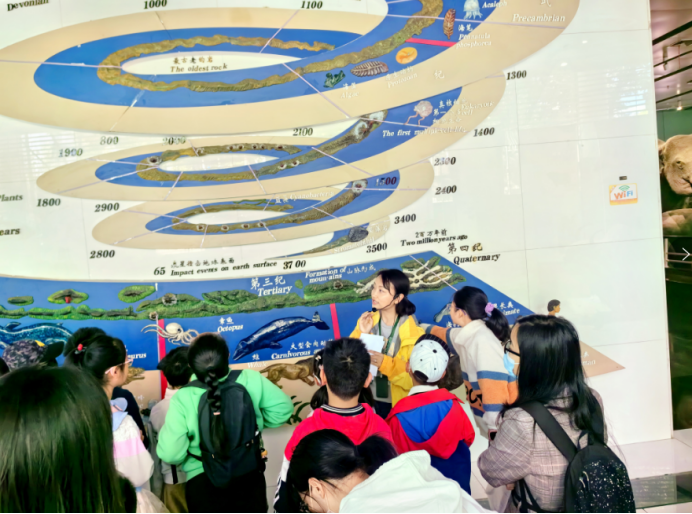 电子游戏app下载安装