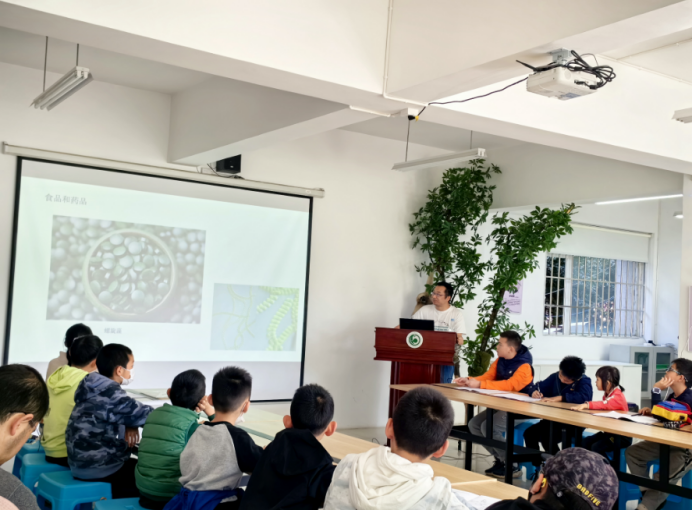 电子游戏app下载安装