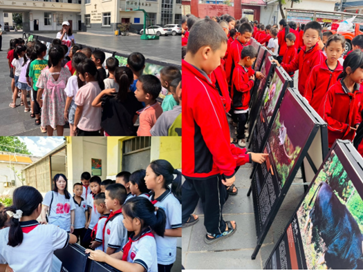 电子游戏app下载安装