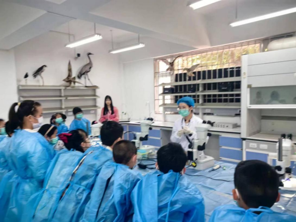 电子游戏app下载安装