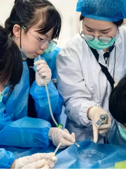 电子游戏app下载安装