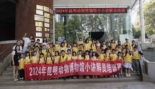 电子游戏app下载安装