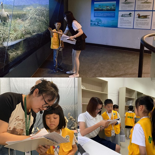 电子游戏app下载安装