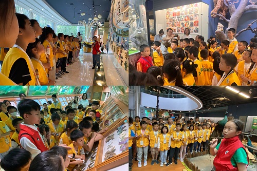 电子游戏app下载安装