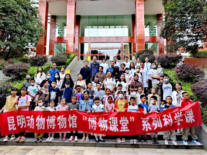 电子游戏app下载安装