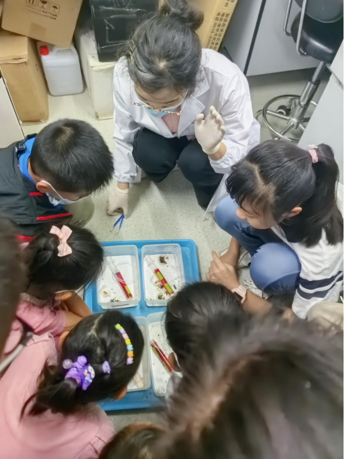 电子游戏app下载安装