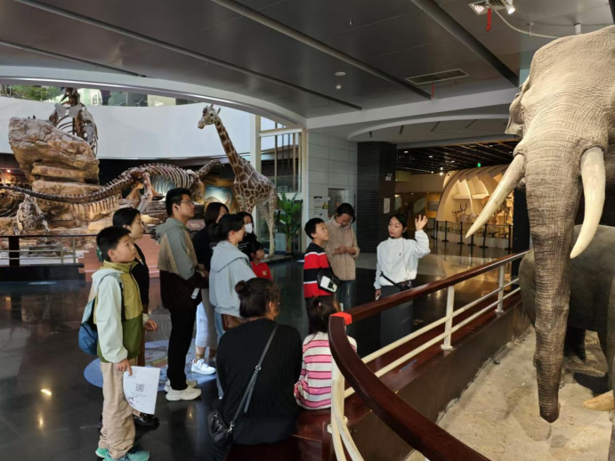 电子游戏app下载安装