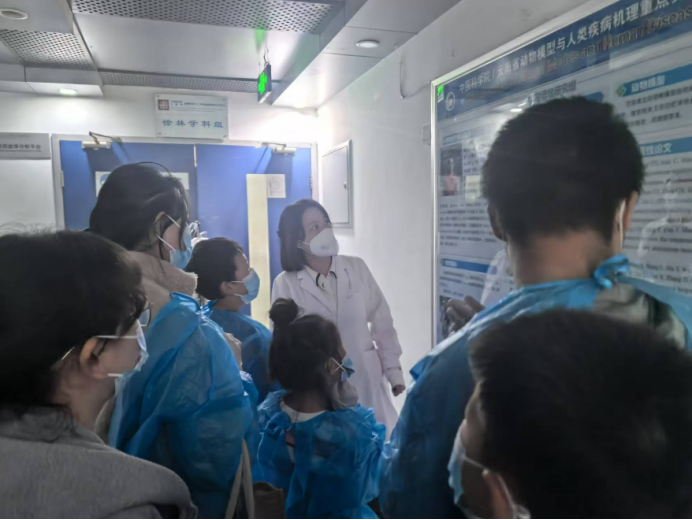 电子游戏app下载安装