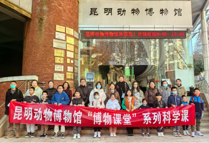 电子游戏app下载安装