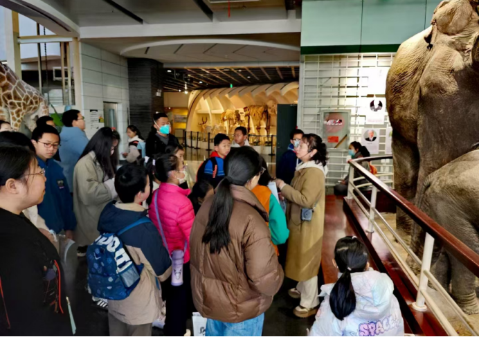 电子游戏app下载安装