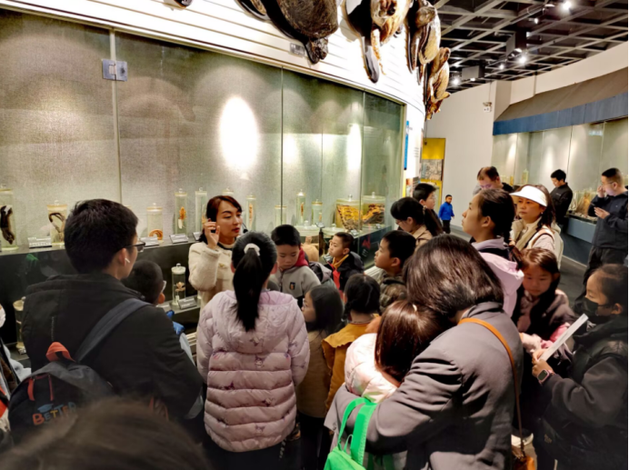 电子游戏app下载安装