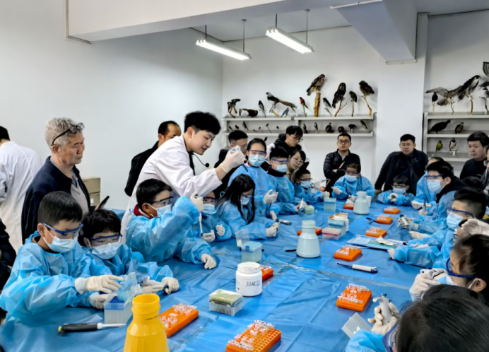 电子游戏app下载安装