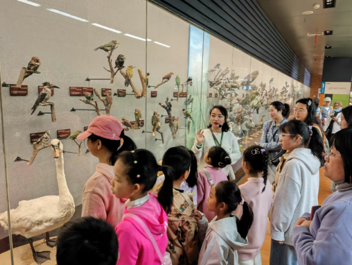 电子游戏app下载安装