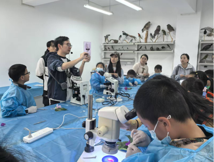 电子游戏app下载安装