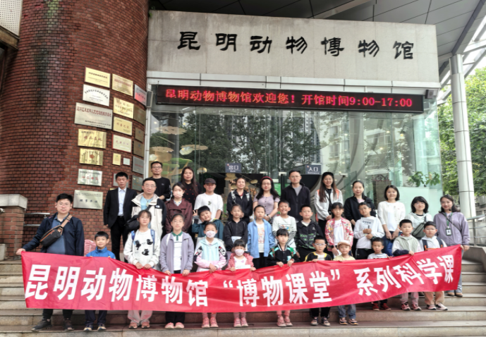 电子游戏app下载安装