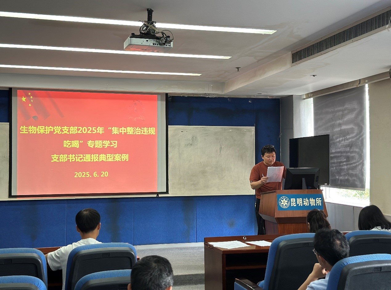 电子游戏app下载安装