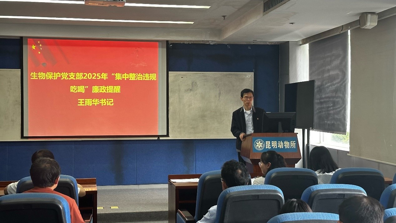 电子游戏app下载安装