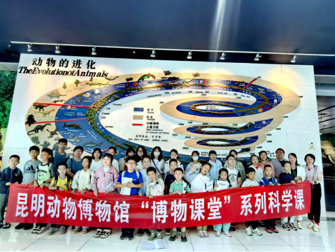 电子游戏app下载安装