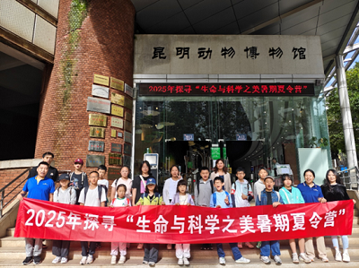 电子游戏app下载安装