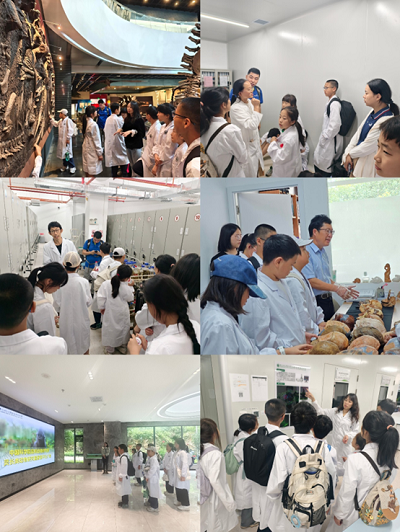 电子游戏app下载安装