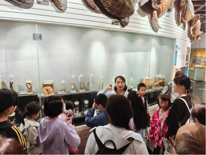 电子游戏app下载安装