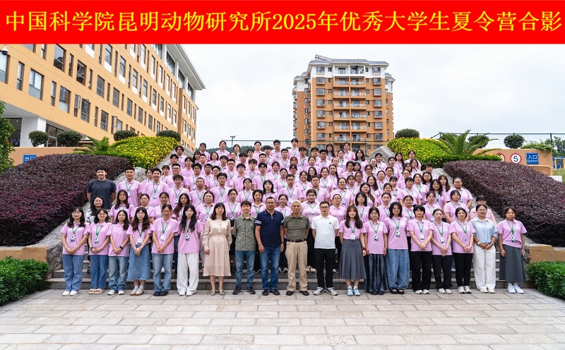 电子游戏app下载安装