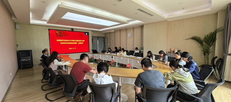 电子游戏app下载安装