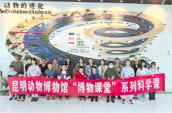 电子游戏app下载安装