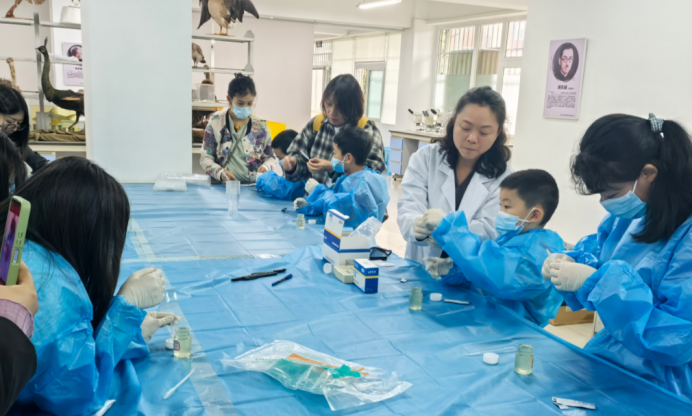 电子游戏app下载安装