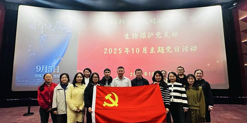 电子游戏app下载安装