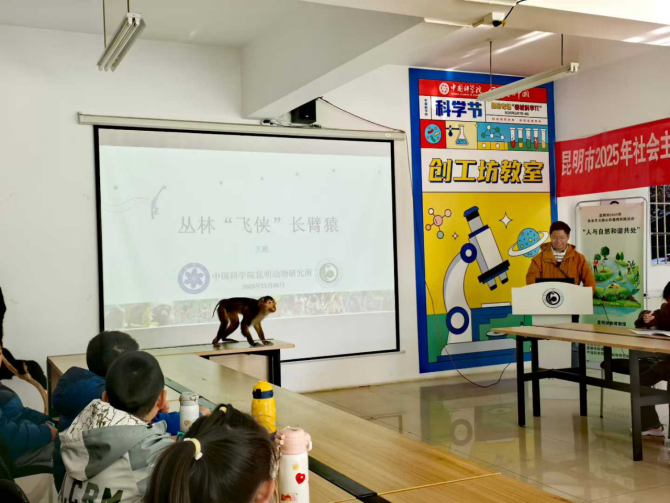 电子游戏app下载安装