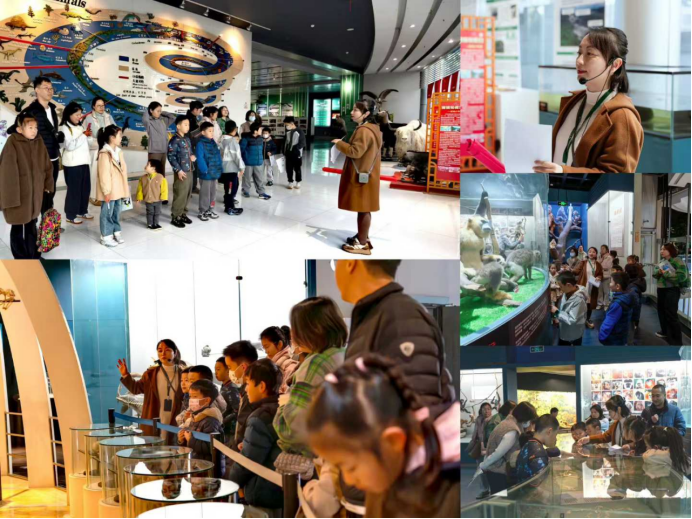 电子游戏app下载安装