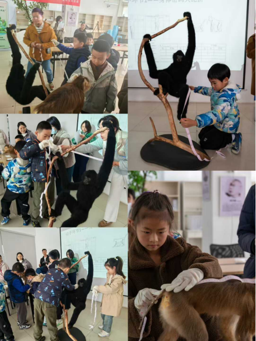 电子游戏app下载安装