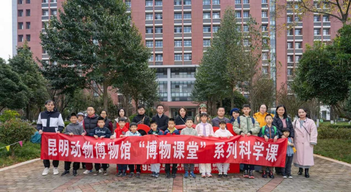 电子游戏app下载安装