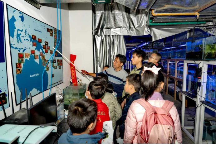 电子游戏app下载安装