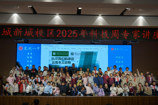 电子游戏app下载安装