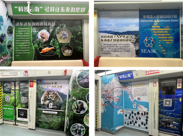 电子游戏app下载安装