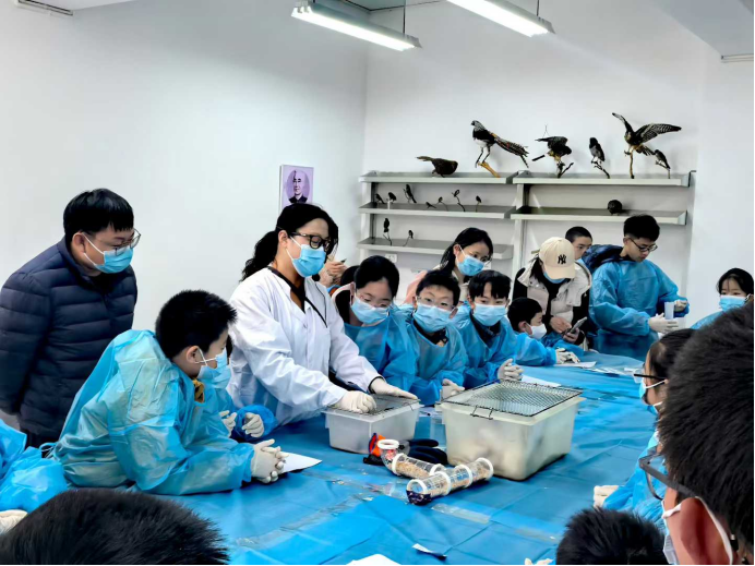 电子游戏app下载安装