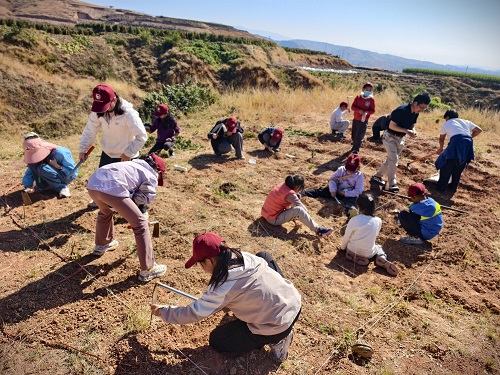 电子游戏app下载安装