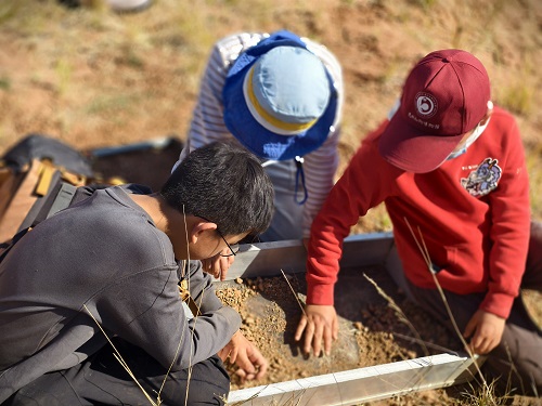 电子游戏app下载安装