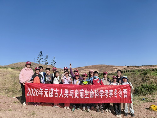 电子游戏app下载安装