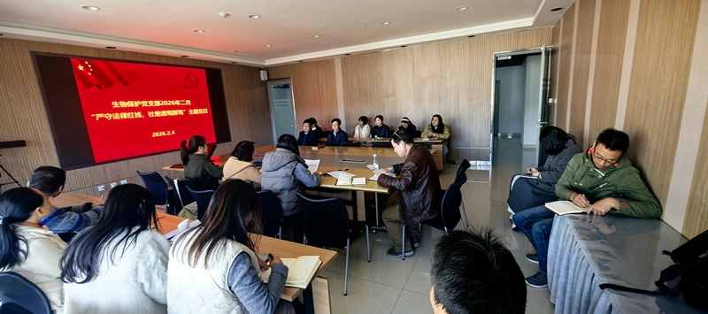 电子游戏app下载安装