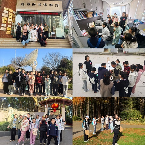 电子游戏app下载安装