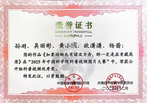 电子游戏app下载安装