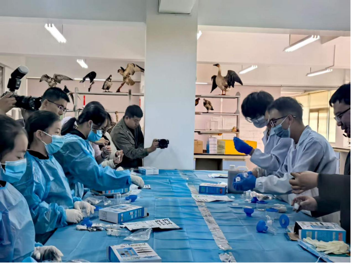 电子游戏app下载安装